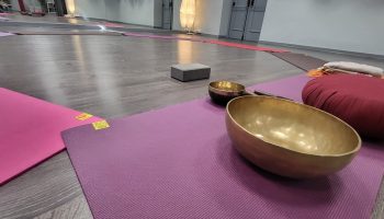 Méditation MJC Lyon 6e